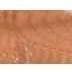 Earth's Beauty Lip Glaze